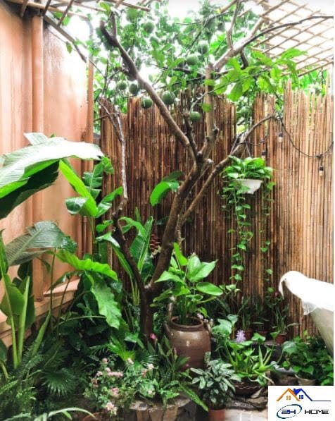 Góc-nhỏ-trang-trí-ánh-sáng